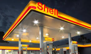 shell1.jpg